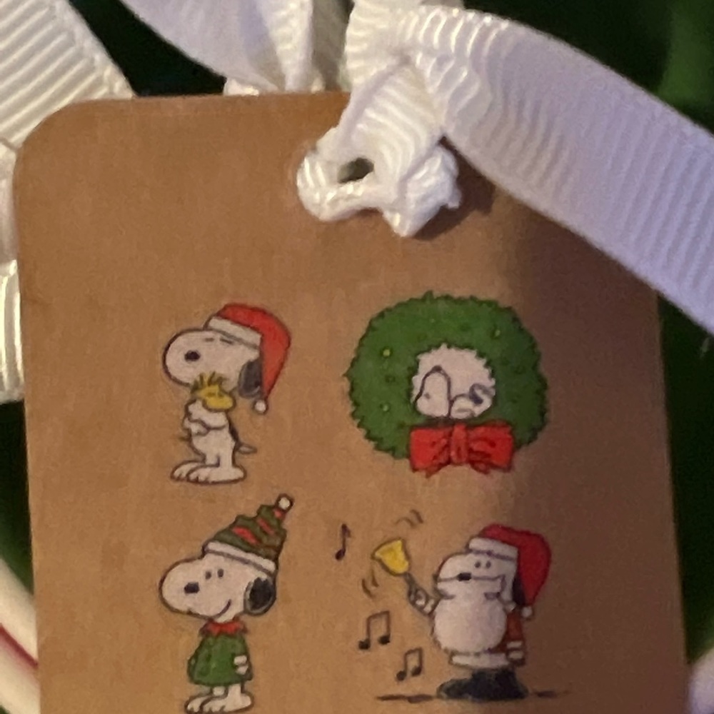 NWT Rae Dunn Peanuts Measuring Cups - Picture 3 of 7